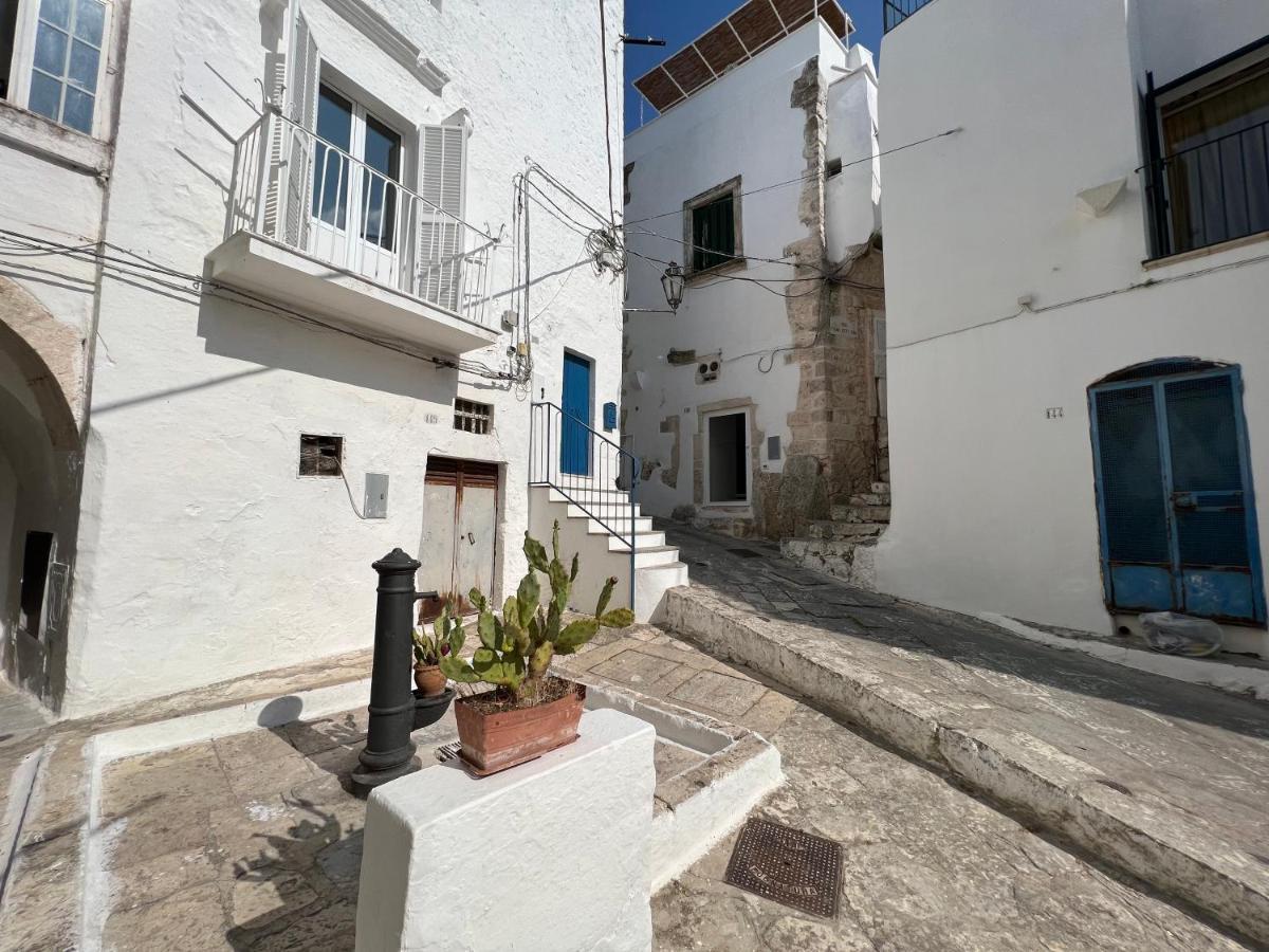 Zinzu - By Tripostuni Villa Dış mekan fotoğraf