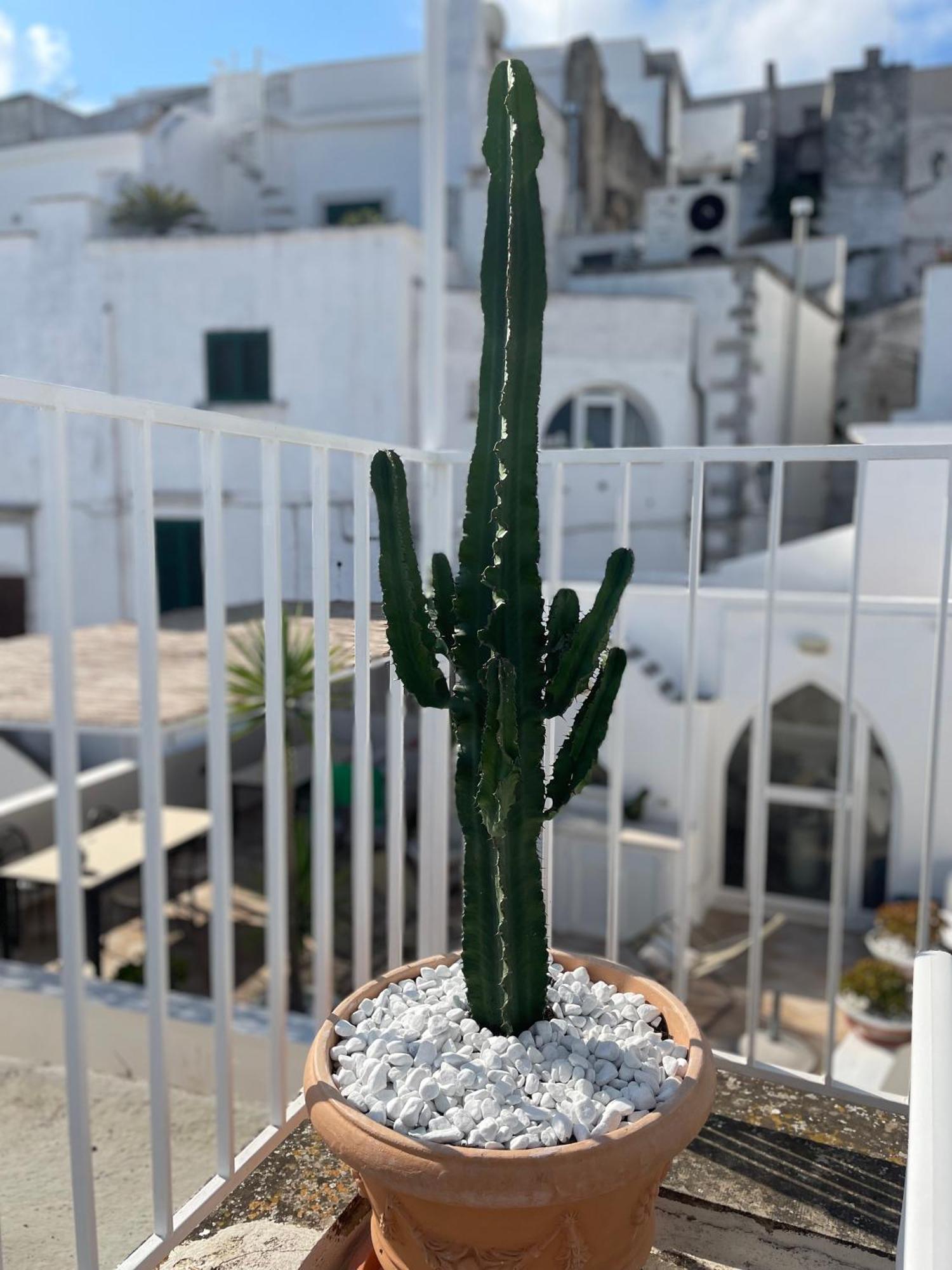 Zinzu - By Tripostuni Villa Dış mekan fotoğraf