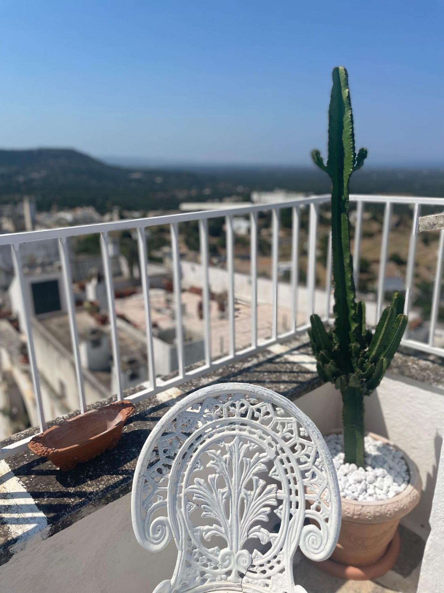 Zinzu - By Tripostuni Villa Dış mekan fotoğraf