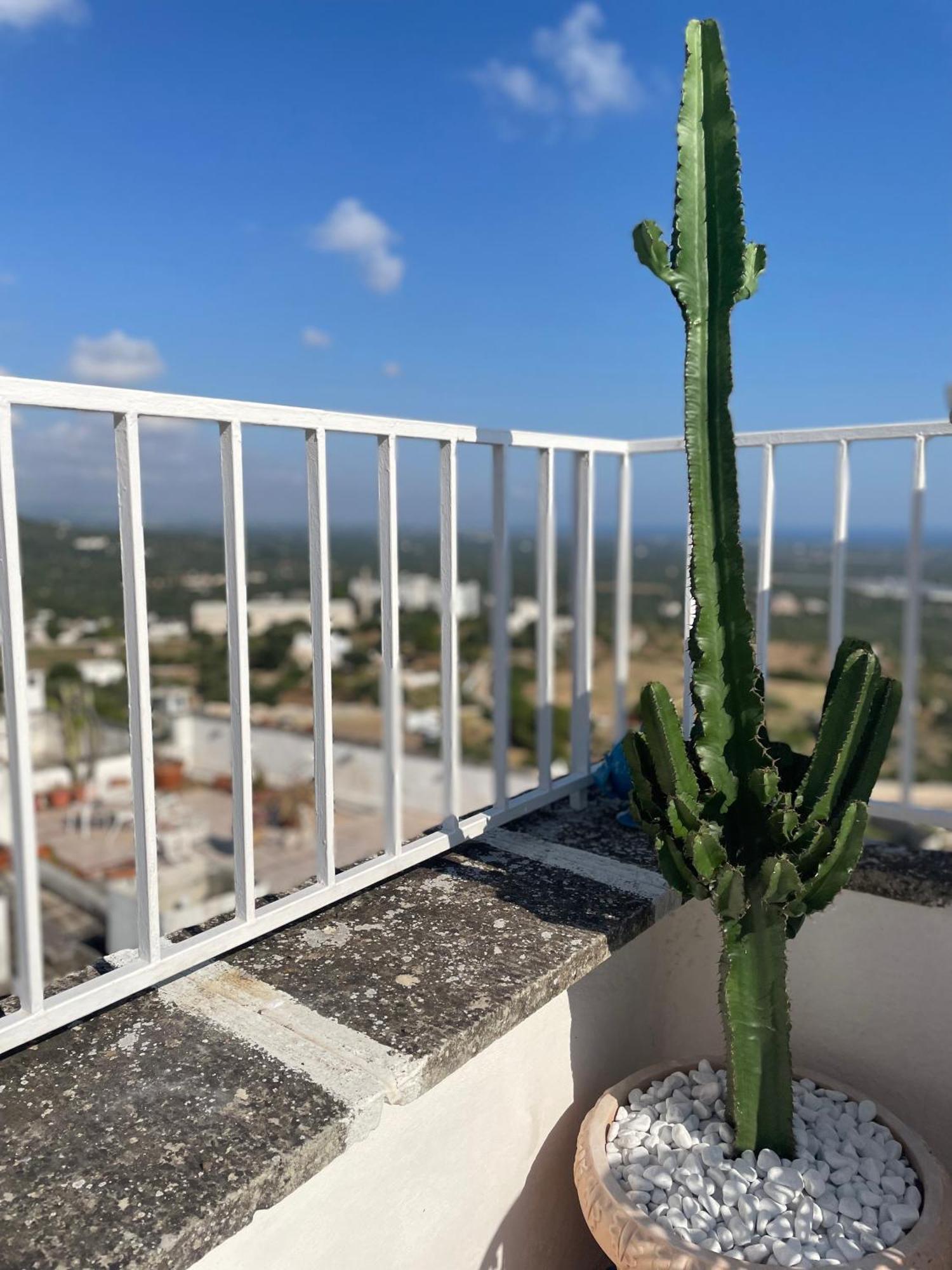 Zinzu - By Tripostuni Villa Dış mekan fotoğraf